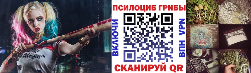 где купить наркотик  ссылка на мегу как зайти  Галлюциногенные грибы Psilocybe  Вышний Волочёк 